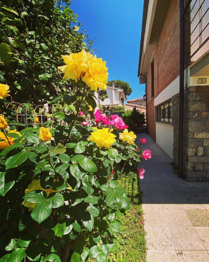 Casa Summer Cecina  Dış mekan fotoğraf