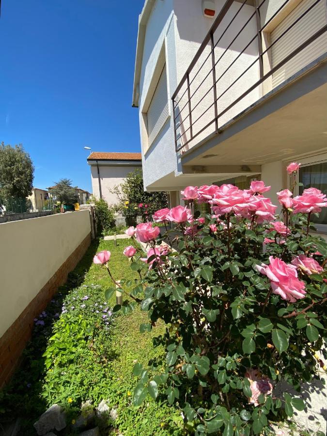 Casa Summer Cecina  Dış mekan fotoğraf